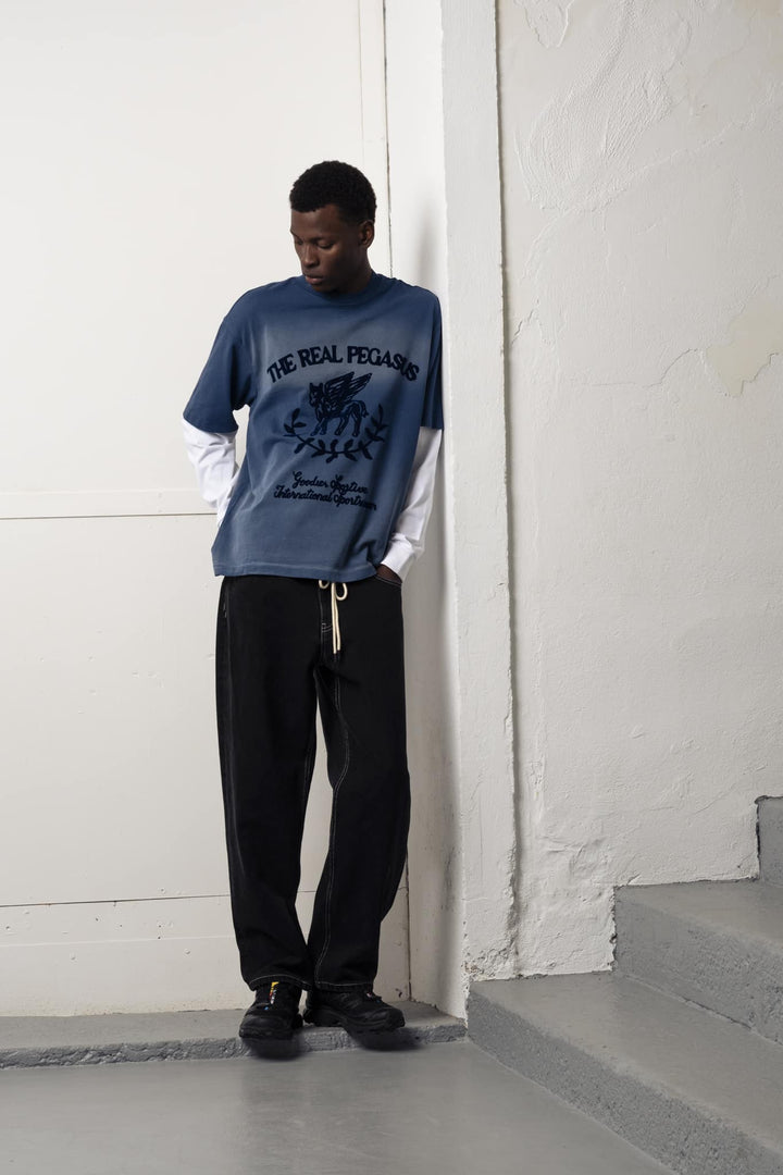 Echte Pegasus LS